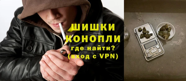 ГАЛЛЮЦИНОГЕННЫЕ ГРИБЫ Аркадак