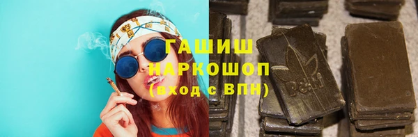 индика Армянск