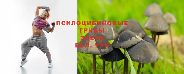 ГАЛЛЮЦИНОГЕННЫЕ ГРИБЫ Аркадак