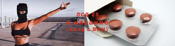 ГАЛЛЮЦИНОГЕННЫЕ ГРИБЫ Аркадак