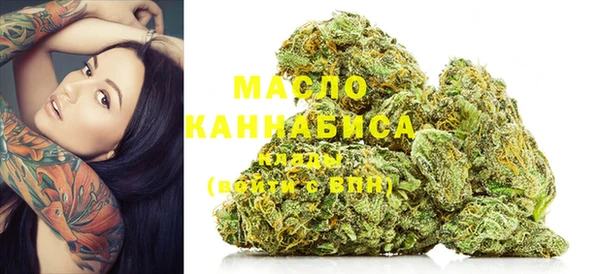 индика Армянск
