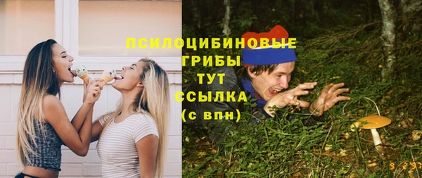 2c-b Арсеньев