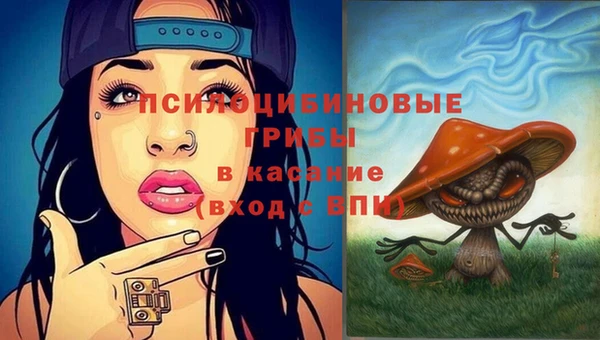 ГАЛЛЮЦИНОГЕННЫЕ ГРИБЫ Аркадак