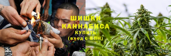ГАЛЛЮЦИНОГЕННЫЕ ГРИБЫ Аркадак