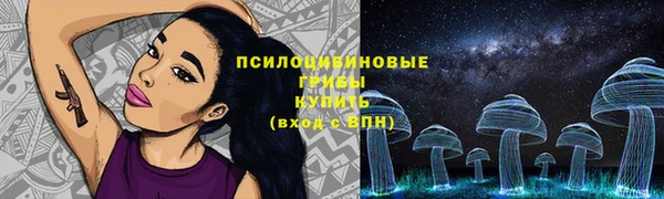 индика Армянск