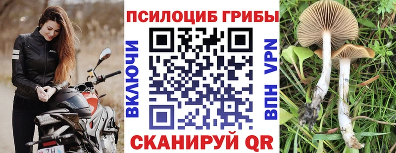 Галлюциногенные грибы Cubensis  где продают   Пущино 