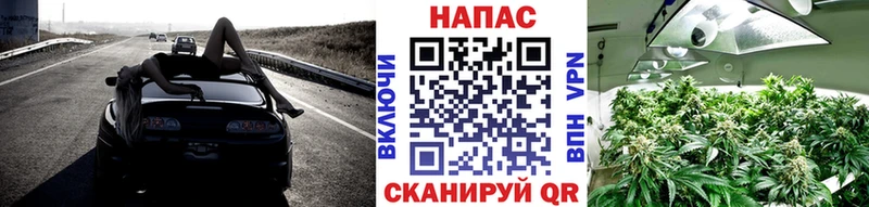 закладки  Пущино  Бошки Шишки VHQ 